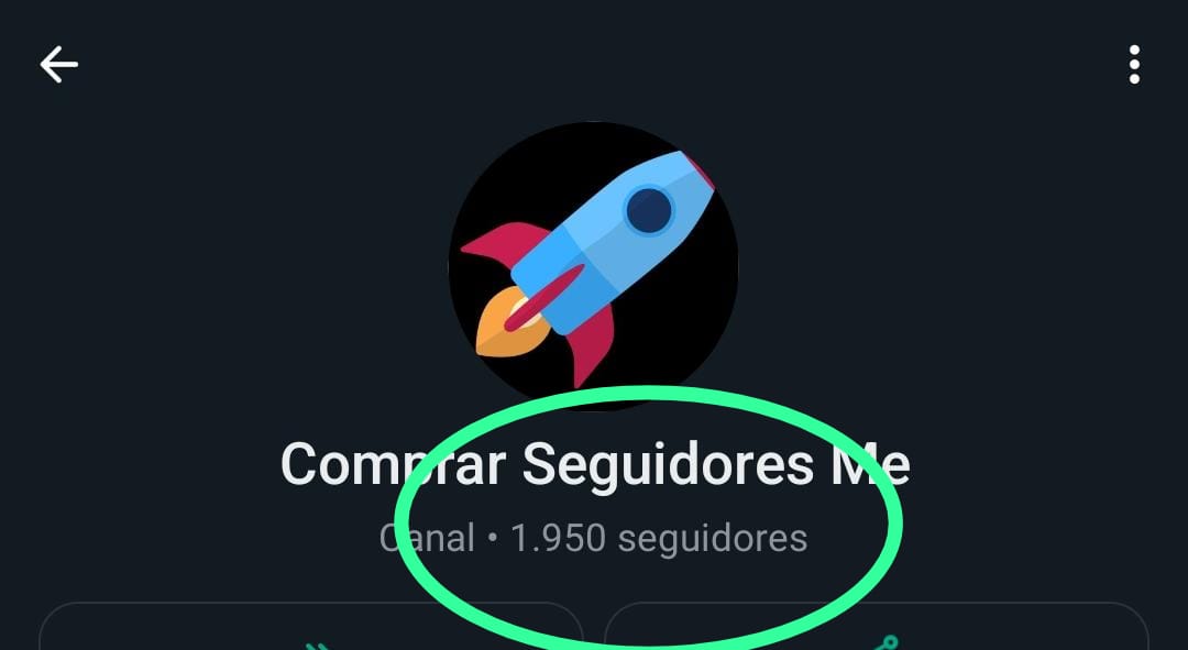 comprar seguidores whatsapp 1